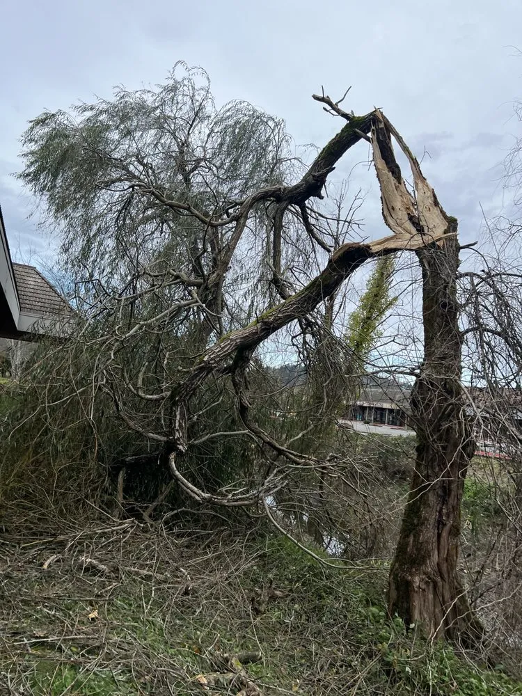 Reliable lawn mowing service in Snohomish, WA - French Creek