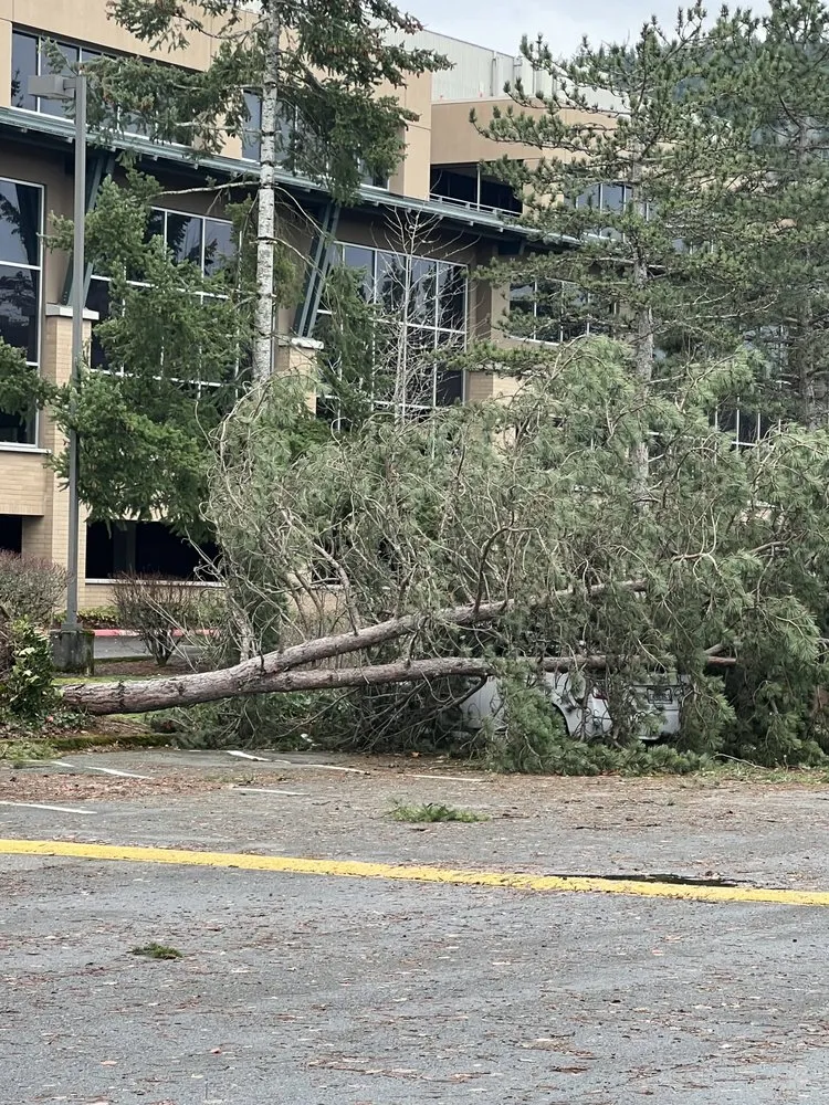 Local landscaping services near you in Snohomish, WA by French Creek