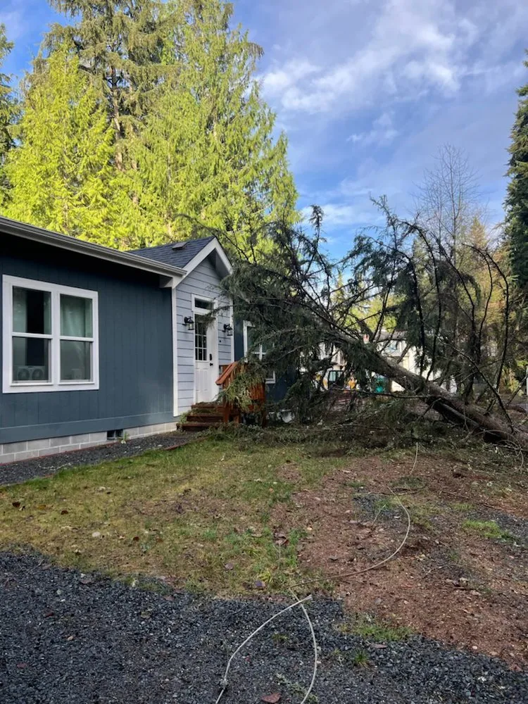 Top-rated landscape design experts serving Snohomish, WA - French Creek