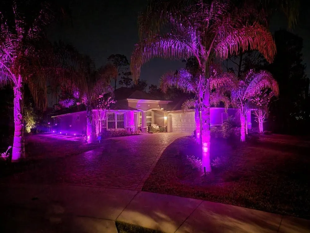 Trusted yard cleanup service experts serving South Daytona, FL - French Drain King Landscape Designer & Lights