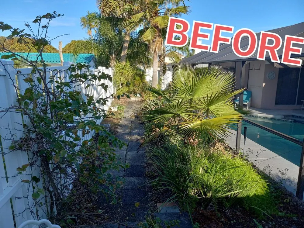 Local outdoor landscaping in South Daytona, FL - French Drain King Landscape Designer & Lights