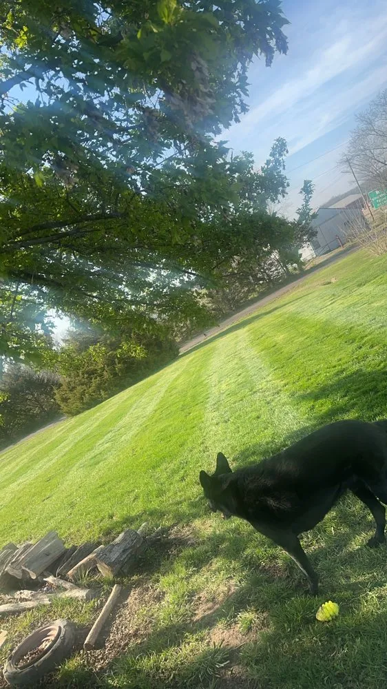 Trusted landscaping services for homes across Fulton, MO - French fry lawn service