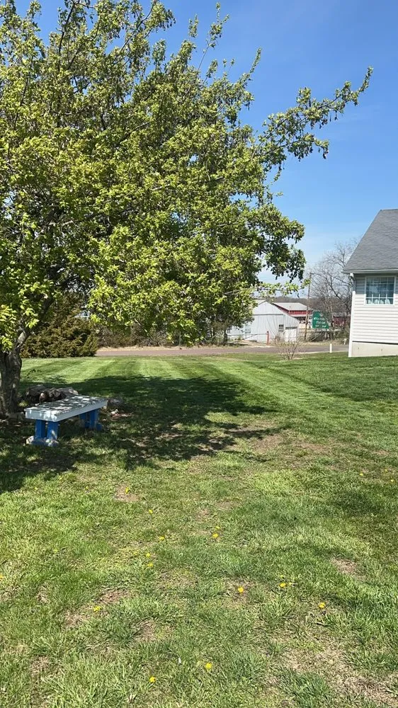 Trusted landscape design for homes in Fulton, MO by French fry lawn service