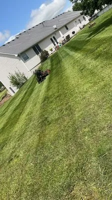 French fry lawn service Logo