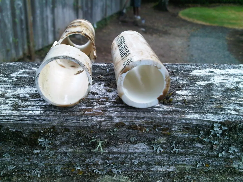 Reliable landscape design for year-round maintenance across Edmonds, WA - French Landscape Irrigation