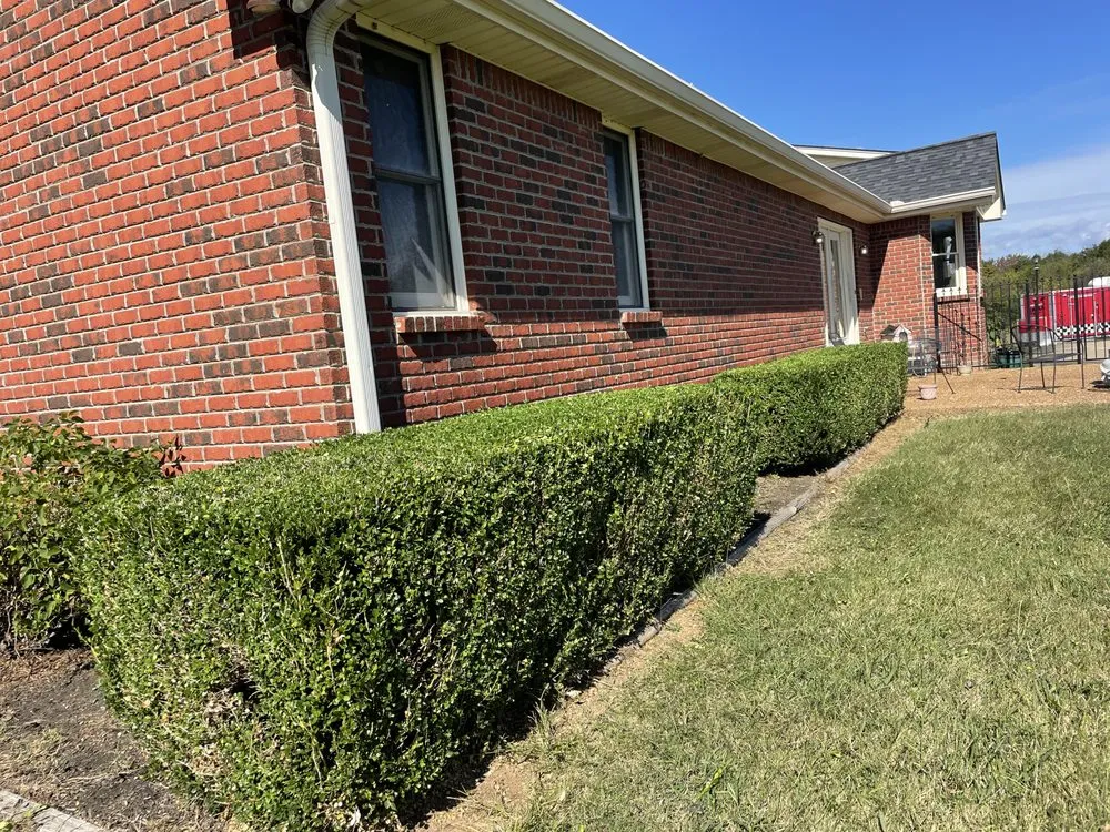 Affordable outdoor landscaping in Lafayette, TN by French Lawn & Scape