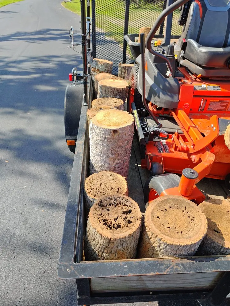 Professional yard maintenance in North Fort Myers, FL - Frenchbillies Lawn Care & Landscaping