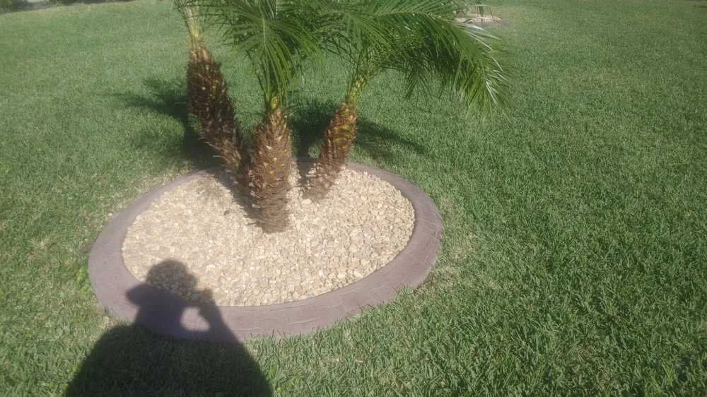 Expert yard cleanup service in North Fort Myers, FL - Frenchbillies Lawn Care & Landscaping