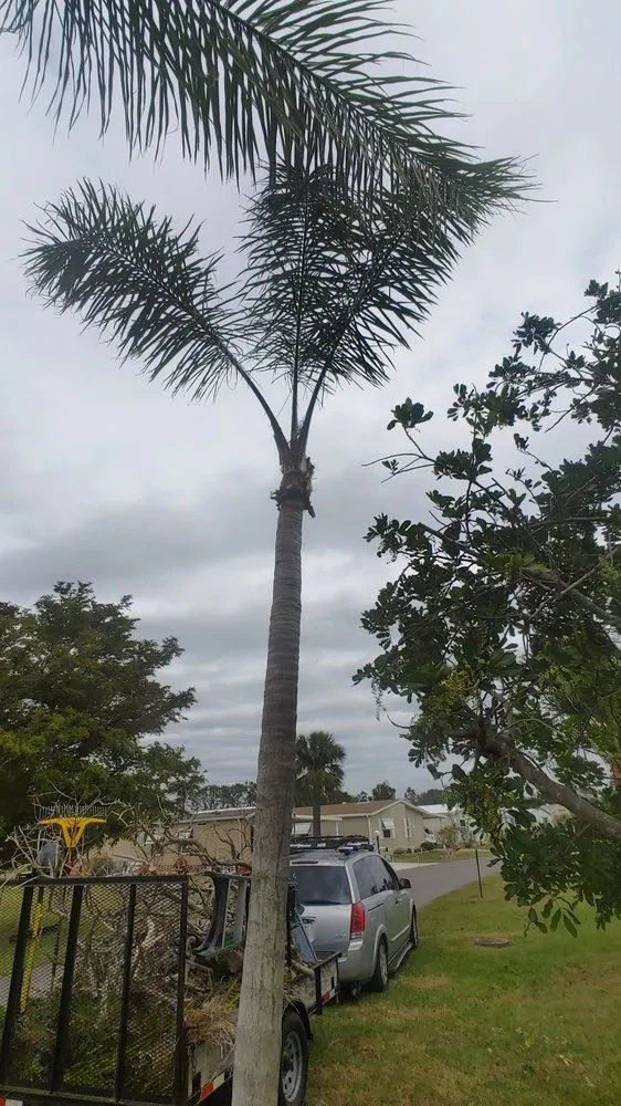 Custom outdoor landscaping experts serving North Fort Myers, FL - Frenchbillies Lawn Care & Landscaping