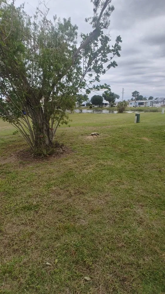 Custom residential landscaping in North Fort Myers, FL - Frenchbillies Lawn Care & Landscaping