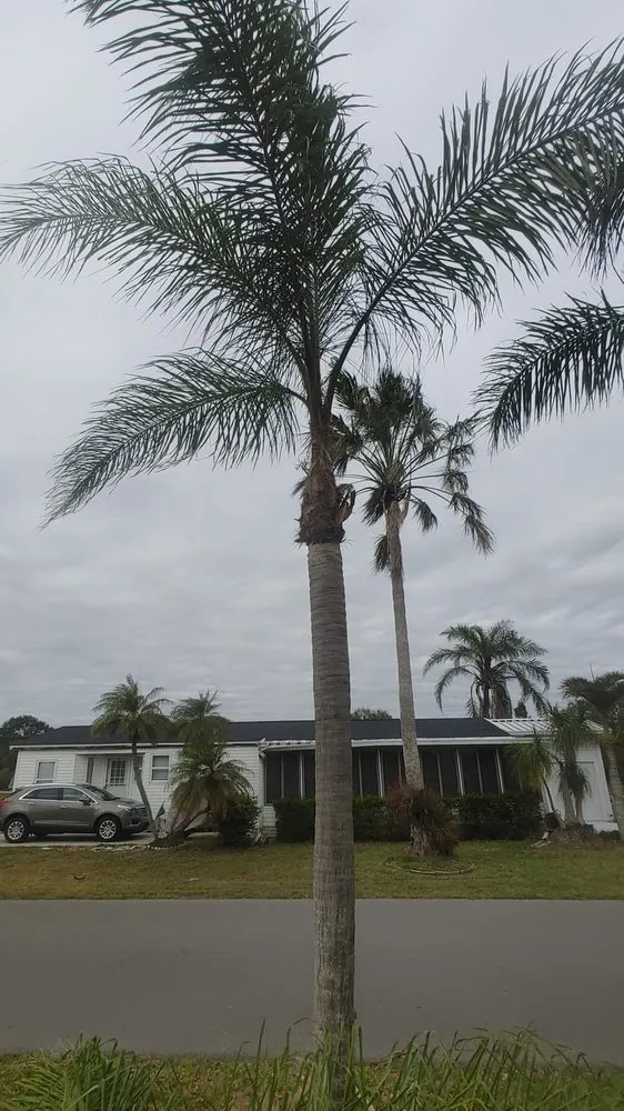 Local yard maintenance for residential properties across North Fort Myers, FL - Frenchbillies Lawn Care & Landscaping