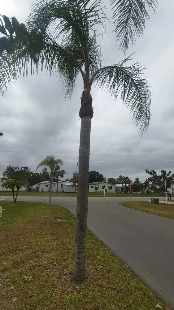 Custom outdoor landscaping near you in North Fort Myers, FL by Frenchbillies Lawn Care & Landscaping