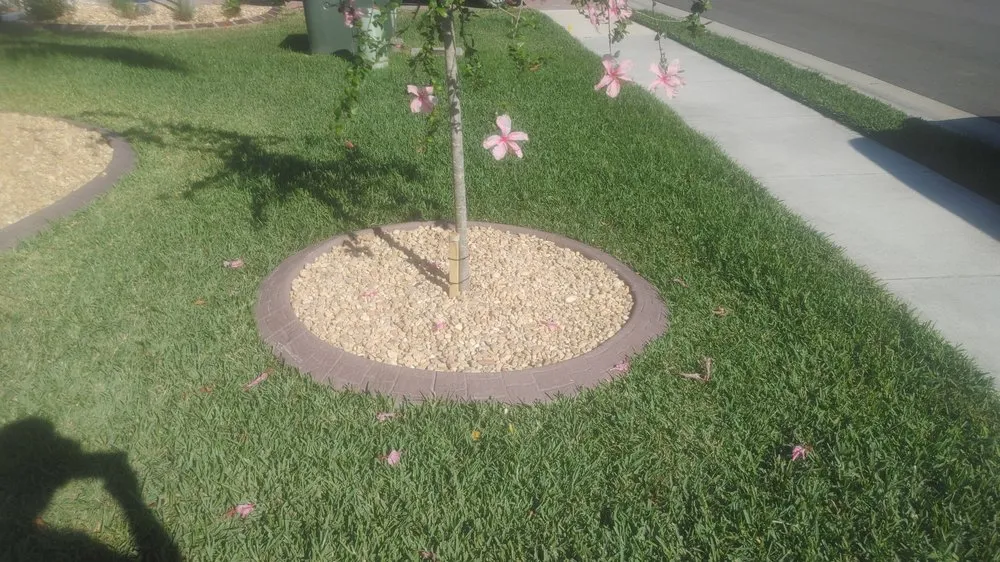 Professional lawn mowing service for year-round maintenance across North Fort Myers, FL - Frenchbillies Lawn Care & Landscaping