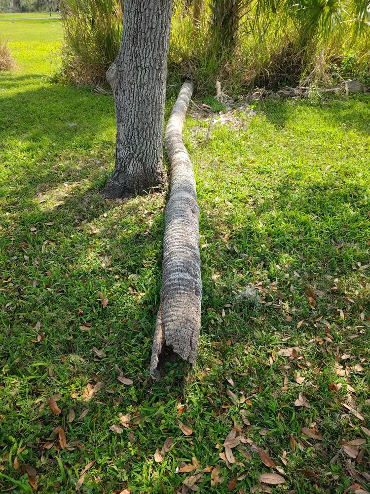 Expert residential landscaping experts serving North Fort Myers, FL - Frenchbillies Lawn Care & Landscaping