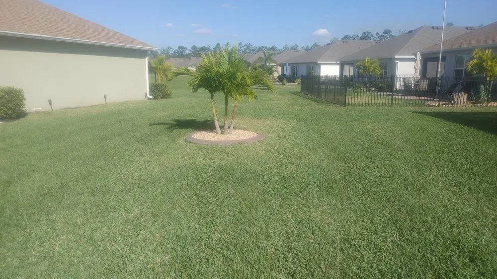 Reliable lawn care service for beautiful yards in North Fort Myers, FL by Frenchbillies Lawn Care & Landscaping