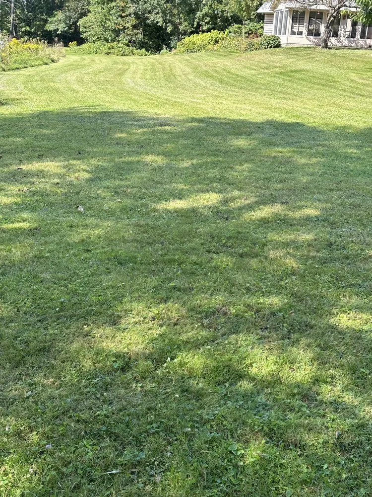 Reliable lawn care service in Wilton, ME - French’s Lawn Care