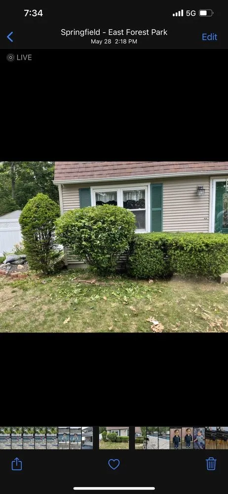 Professional yard maintenance in Chicopee, MA by Fresh & Clean Cuts