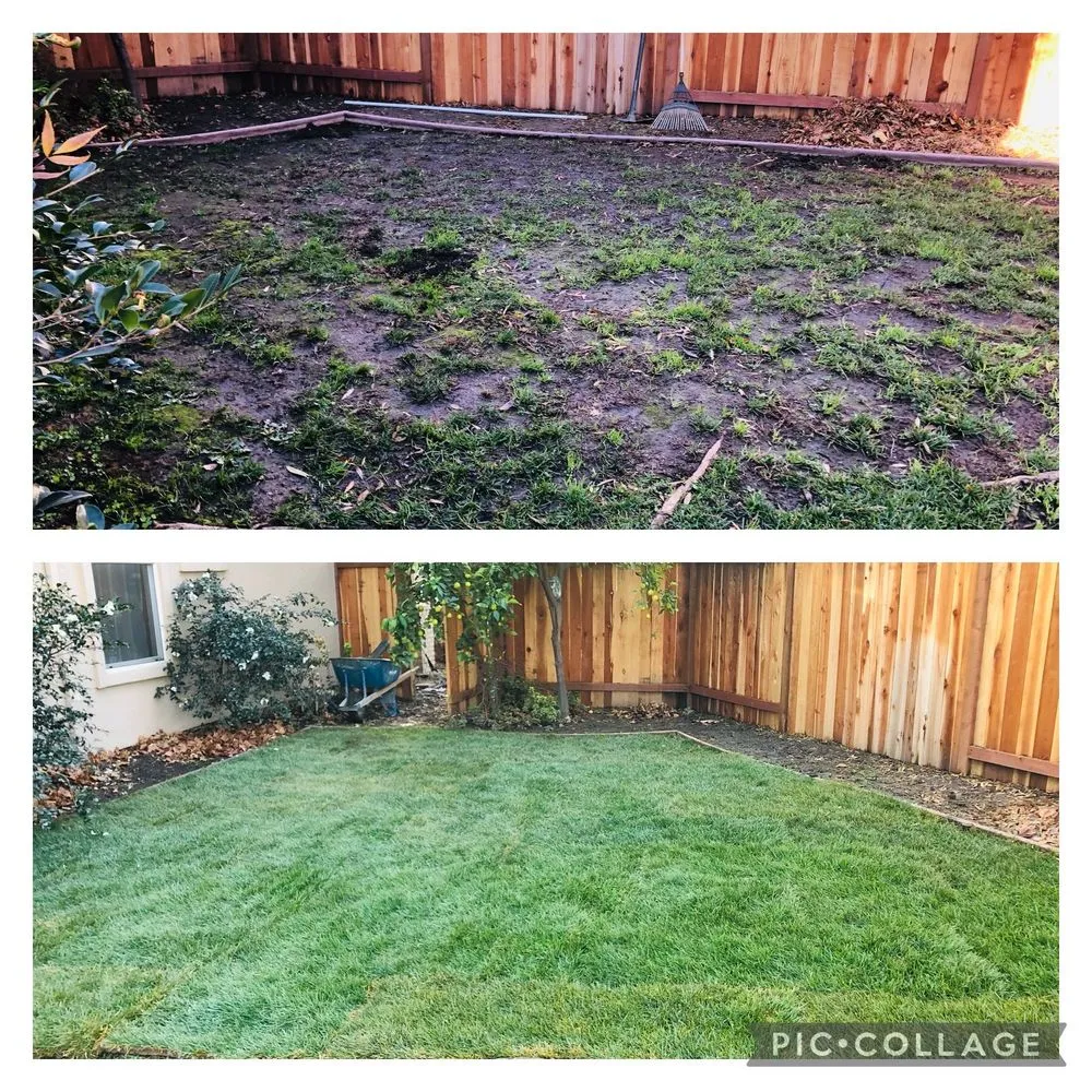 Expert landscape design in Sacramento, CA - Fresh & Green Lawn Care