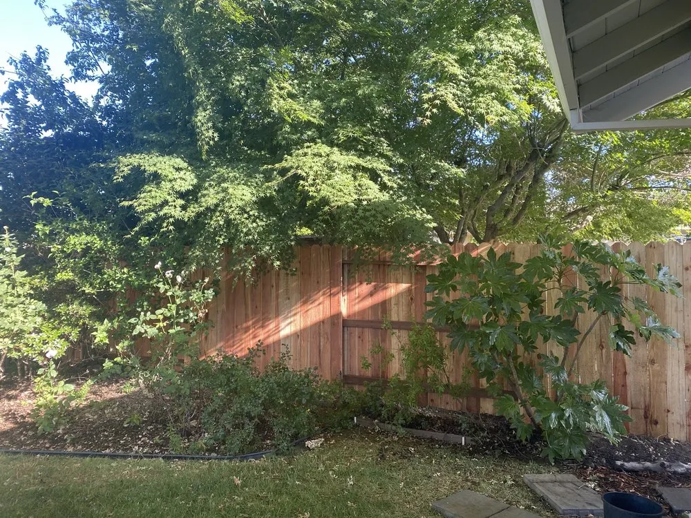 Professional landscape installation in Sacramento, CA by Fresh & Green Lawn Care