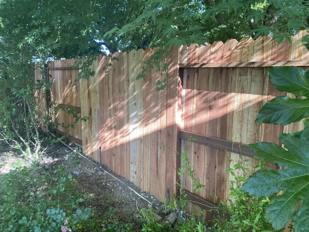 Professional landscape installation for homes in Sacramento, CA by Fresh & Green Lawn Care