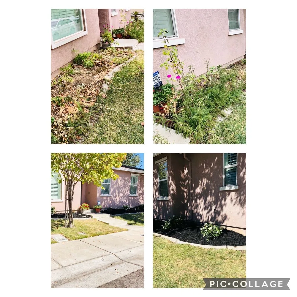 Affordable lawn mowing service for residential properties across Sacramento, CA - Fresh & Green Lawn Care