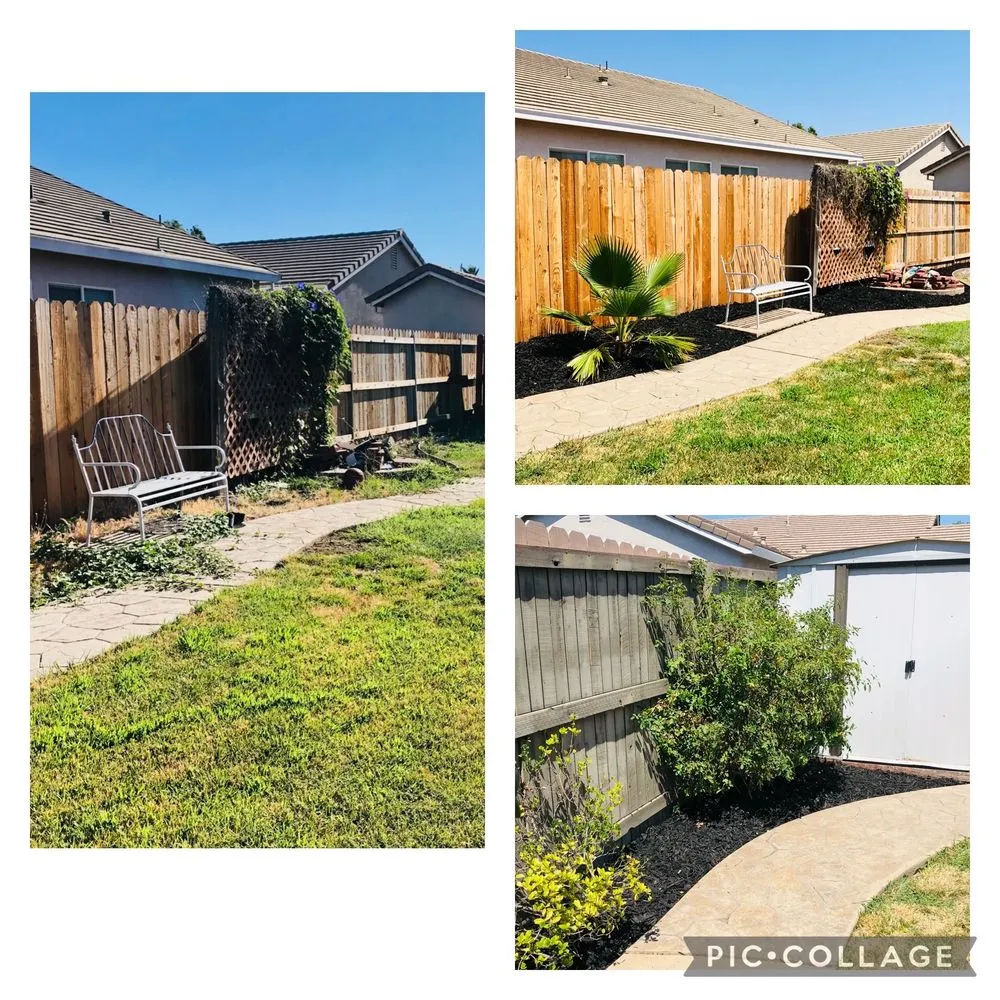 Top-rated lawn care service in Sacramento, CA - Fresh & Green Lawn Care