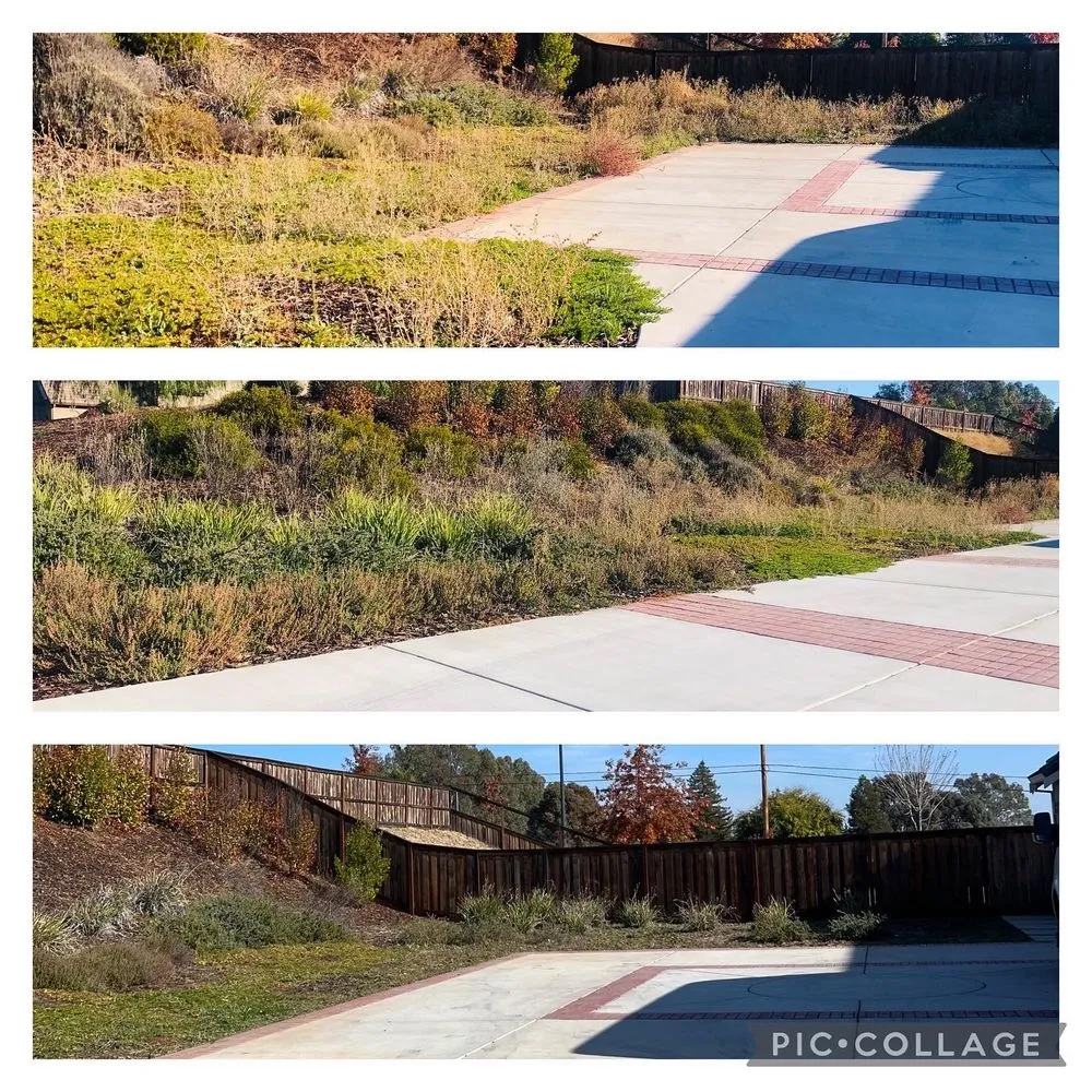 Top-rated landscaping services near you in Sacramento, CA by Fresh & Green Lawn Care