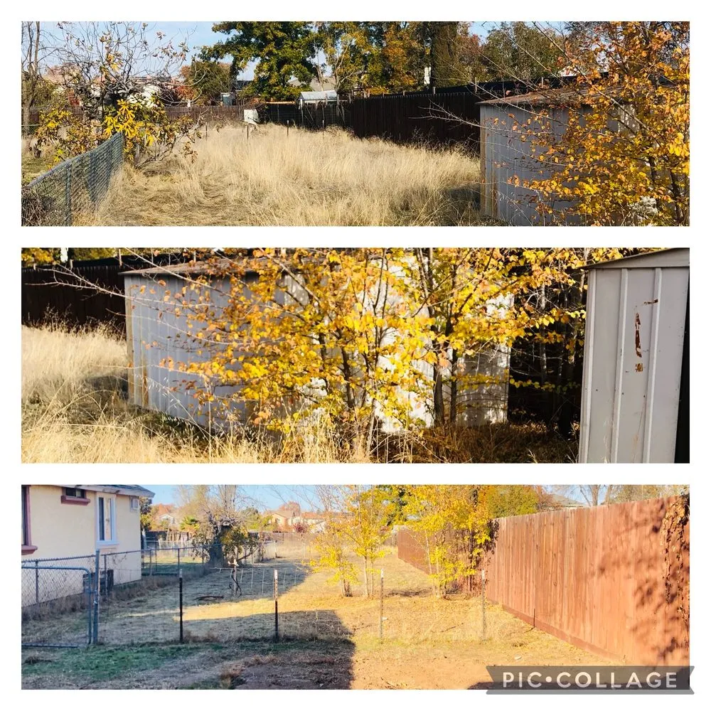 Affordable yard maintenance for year-round maintenance in Sacramento, CA by Fresh & Green Lawn Care