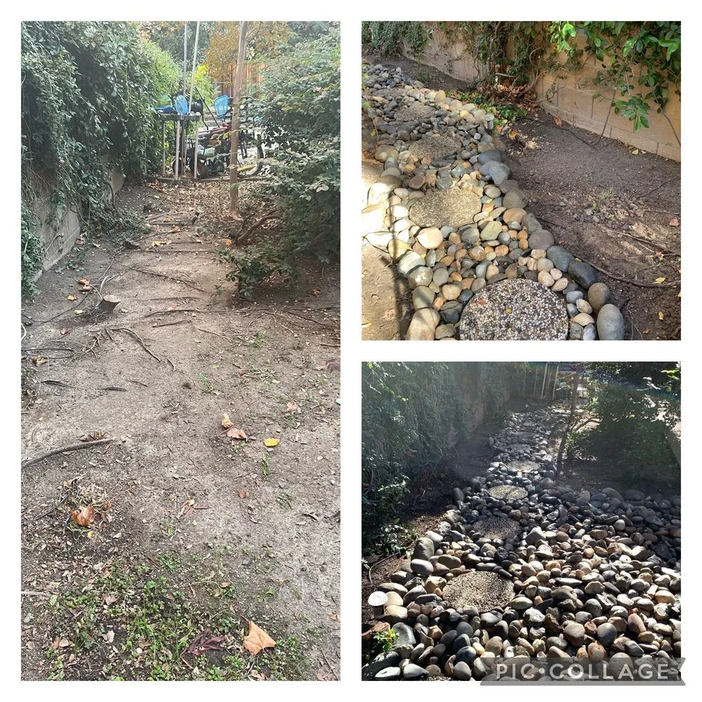 Professional yard cleanup service in Sacramento, CA - Fresh & Green Lawn Care