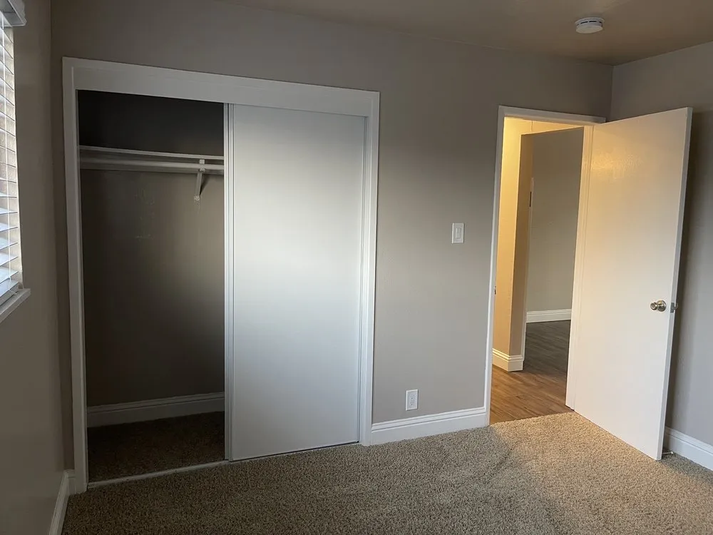 Professional yard cleanup service in Sacramento, CA by Fresh & Green Lawn Care