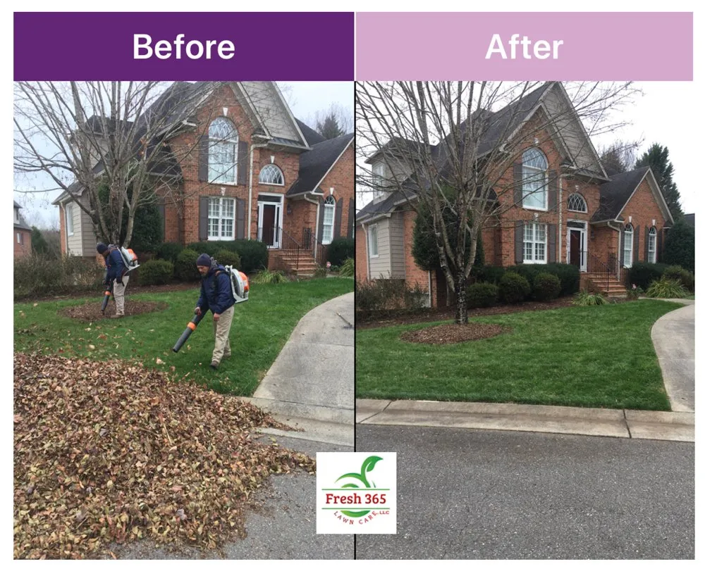 Expert residential landscaping in Winston-Salem, NC - Fresh 365 Lawn Care