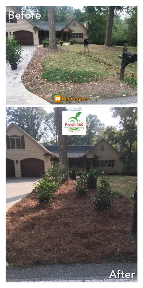 Local lawn care service in Winston-Salem, NC by Fresh 365 Lawn Care