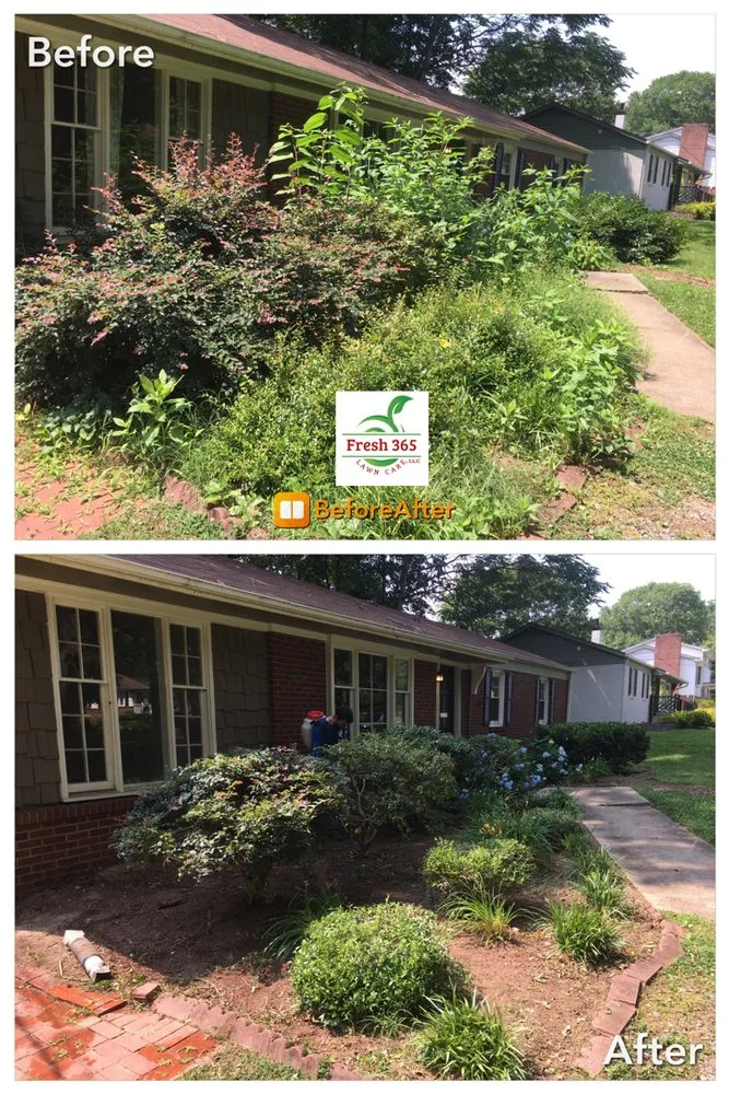 Professional yard cleanup service for year-round maintenance across Winston-Salem, NC - Fresh 365 Lawn Care