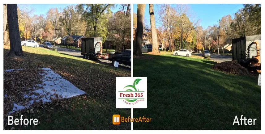 Reliable yard maintenance in Winston-Salem, NC - Fresh 365 Lawn Care