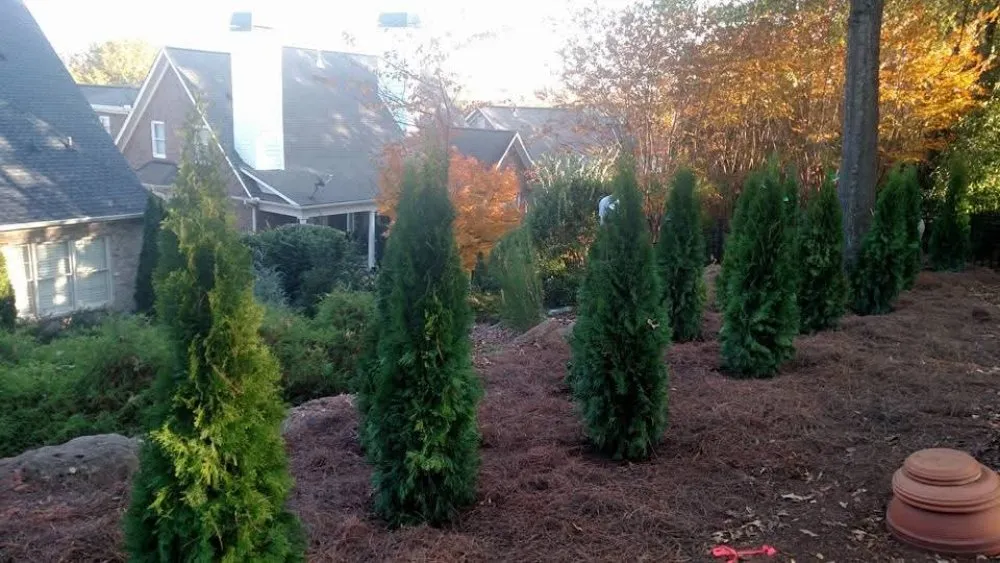 Affordable yard cleanup service experts serving Travelers Rest, SC - Fresh And Green