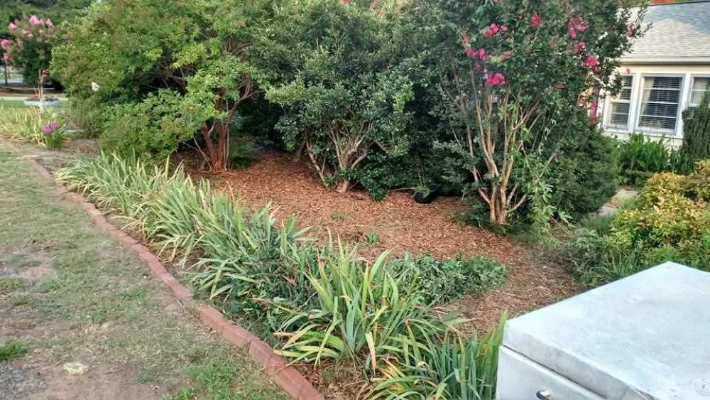 Expert outdoor landscaping for residential properties in Travelers Rest, SC by Fresh And Green