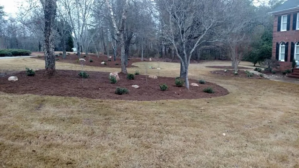 Expert yard cleanup service for residential properties across Travelers Rest, SC - Fresh And Green