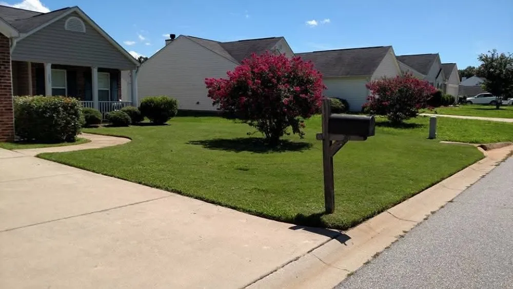 Trusted residential landscaping in Travelers Rest, SC by Fresh And Green