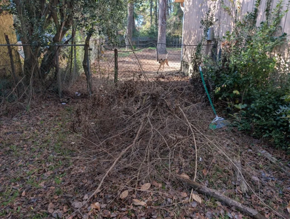 Reliable landscape installation near you in Fayetteville, NC by Fresh Chop Lawn Care