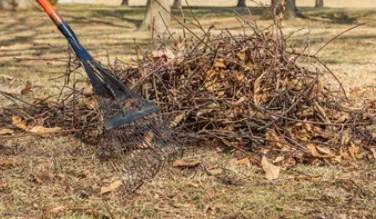 Custom yard maintenance for beautiful yards across San Antonio, TX - Fresh Clean Cut Lawncare