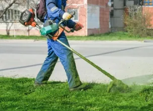 Professional landscape design experts serving San Antonio, TX - Fresh Clean Cut Lawncare