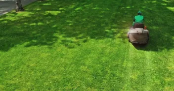 Expert landscape installation in San Antonio, TX - Fresh Clean Cut Lawncare