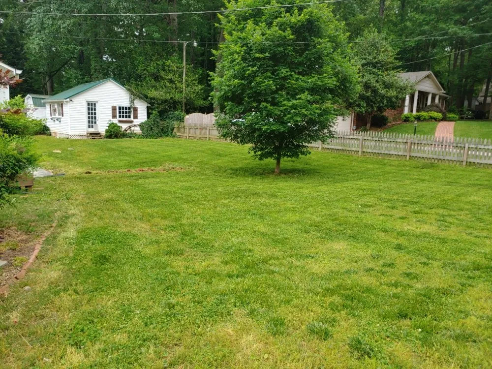 Reliable yard cleanup service in Thomasville, NC by Fresh Clips Mowing