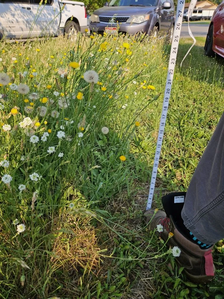 Affordable lawn mowing service for homes across Coeur d'Alene, ID - Fresh Coast Lawn Care