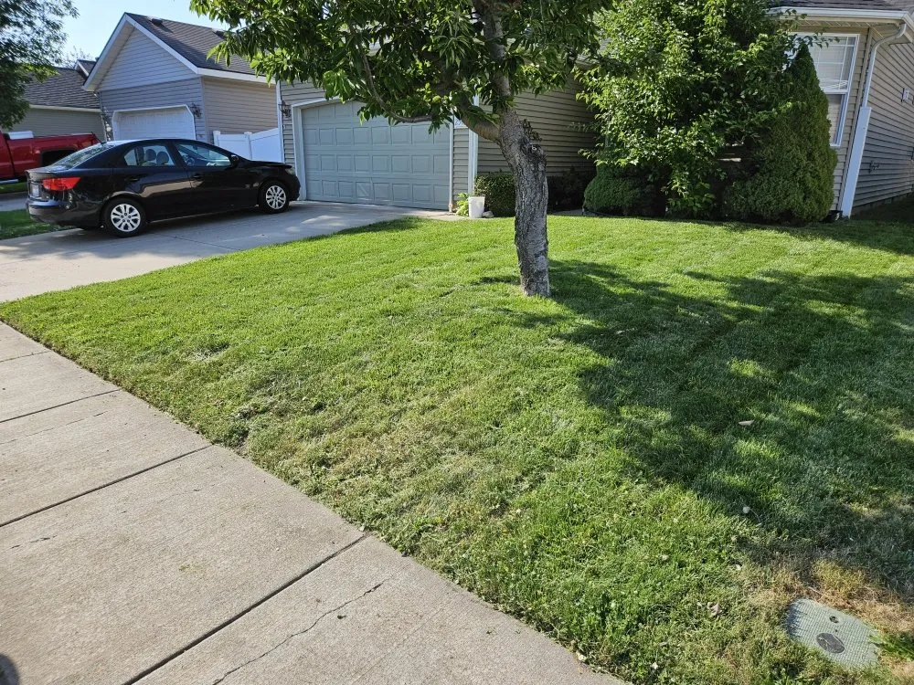 Expert yard cleanup service in Coeur d'Alene, ID - Fresh Coast Lawn Care