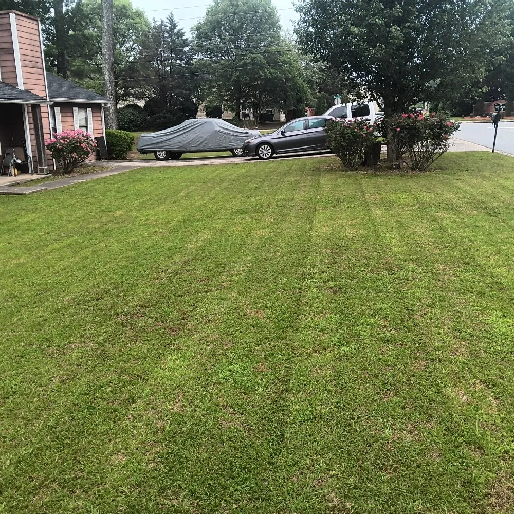 Top-rated landscape installation for outdoor upgrades in Jonesboro, GA by Fresh Cut and Hauling