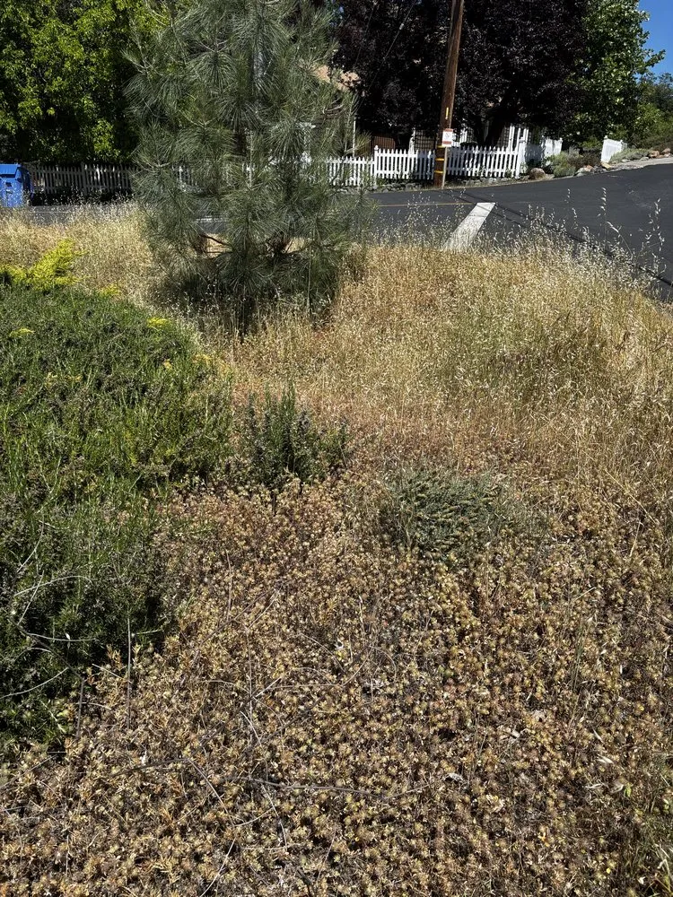 Expert outdoor landscaping with custom design in Clearlake, CA by Fresh Cut