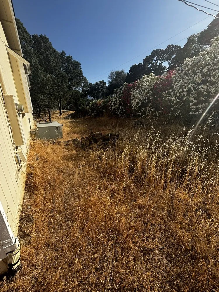 Local lawn mowing service experts serving Clearlake, CA - Fresh Cut