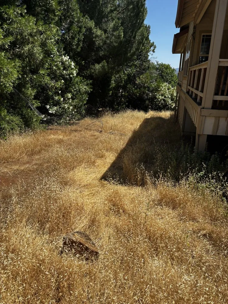 Top-rated residential landscaping for residential properties across Clearlake, CA - Fresh Cut