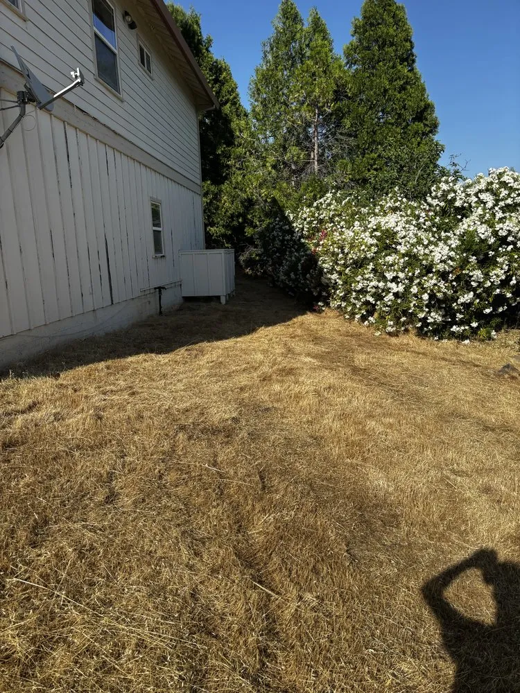 Reliable garden landscaping in Clearlake, CA by Fresh Cut